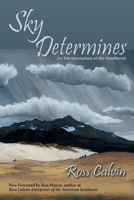 Sky Determines by Ross Calvin 9781632931238