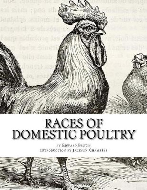 Races of Domestic Poultry: A Guide to Poultry Breeds by Jackson Chambers 9781543055061