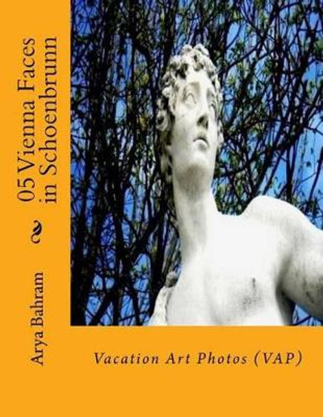 05 Vienna Faces in Schoenbrunn: Vacation Art Photos (VAP) by Arya Bahram 9781530412891