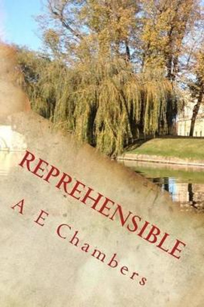 Reprehensible by Amelia E Chambers 9781530484980