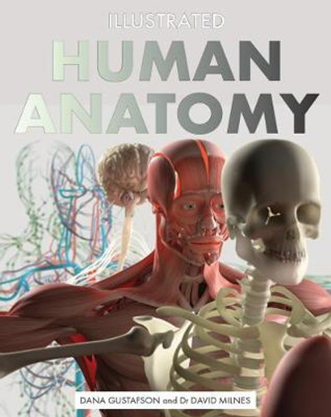 Illustrated Human Anatomy by Dana Gustafson