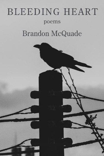 Bleeding Heart by Brandon McQuade 9781954353022