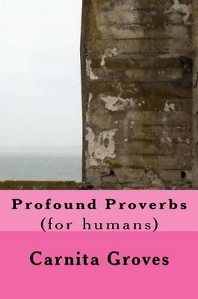 Profound Proverbs: (for humans) by Carnita M Groves Sr 9781533679109