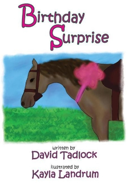 Birthday Surprise by Kayla Landrum 9781974501908