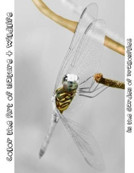 In the Garden of Dragonflies: Color the Art of Nature + Wildlife by Tiffany Photography 9781537613703