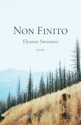 Non Finito by Eleanor Swanson 9781594980862