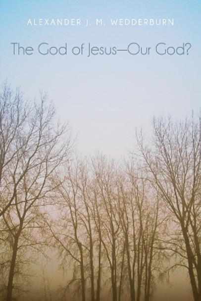 The God of Jesus-Our God? by Alexander J M Wedderburn 9781625644817