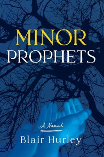 Minor Prophets by Blair Hurley 9781632461490