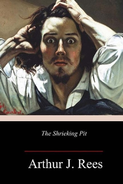 The Shrieking Pit by Arthur J Rees 9781984369413