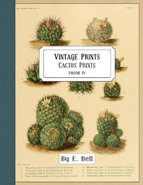 Vintage Prints: Cactus Prints by E Bell 9781986212199