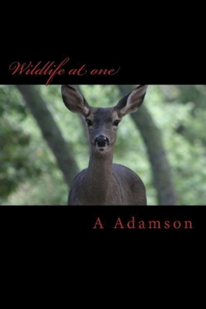 Wildlife at one by A A Adamson 9781727634969