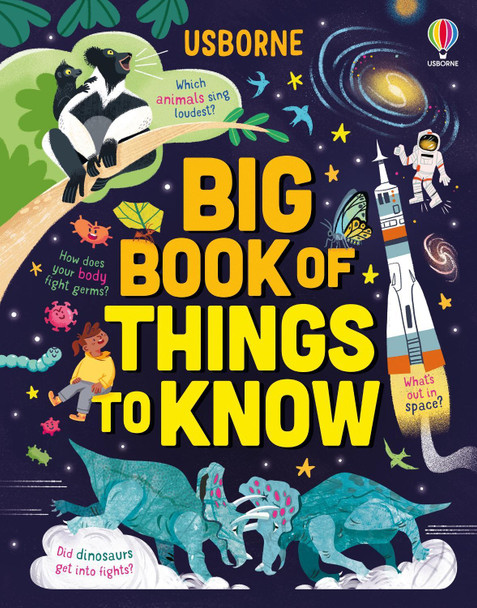 Big Book of Things to Know: A Fact Book for Kids by James Maclaine 9781805074113