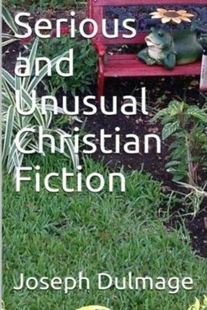 Serious and Unusual Christian Fiction by Joseph Dulmage 9781984243041