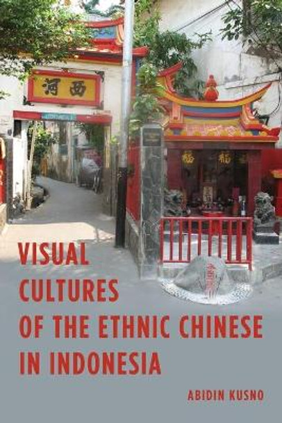 Visual Cultures of the Ethnic Chinese in Indonesia by Abidin Kusno 9781783487578