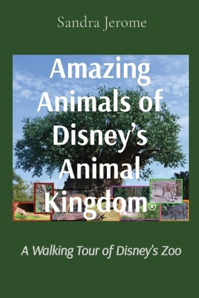 Amazing Animals of Disney's Animal Kingdom(R): A Walking Tour of Disney's Zoo by Sandra L Jerome 9781736034842