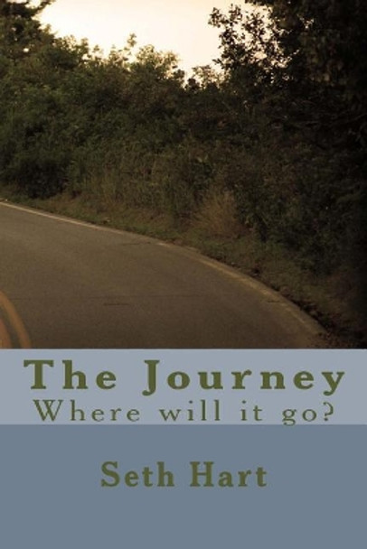 The Journey: Where will it go? by Seth D Hart 9781492248958