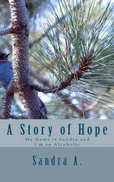 A Story of Hope: My Name is Sandra and I'm an Alcoholic by Sandra A 9781466214019