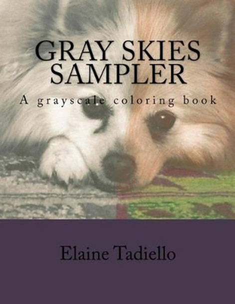 Gray Skies Sampler by Elaine Tadiello 9781534863781