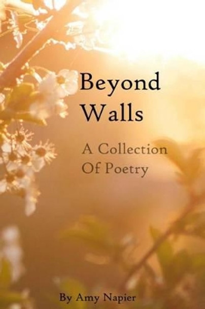Beyond Walls by Amy Napier 9781539348375