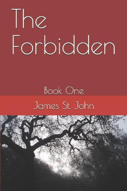 The Forbidden: Book 1 by James St John 9781797758756