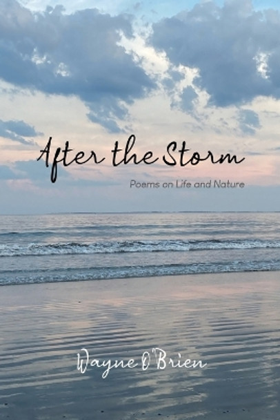 After the Storm by Wayne O'Brien 9781312774438