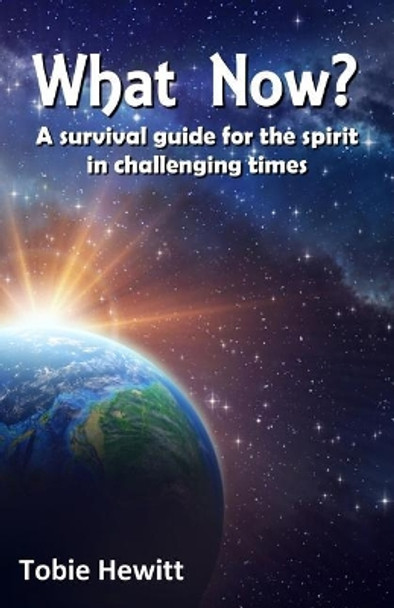What Now?: A survival guide for the spirit in challenging times by Tobie Hewitt 9781986723220