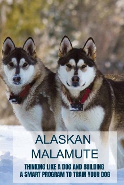 Alaskan Malamute: Thinking Like A Dog And Building A Smart Program To Train Your Dog: Tips For English Foxhound Training by Julissa Blurton 9798549177475