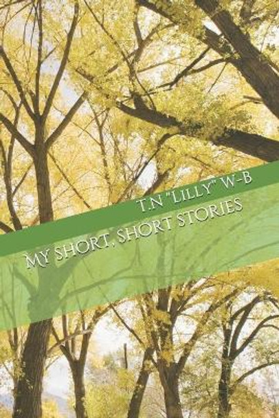 My short, short stories by T N Lilly W-B 9798643291022