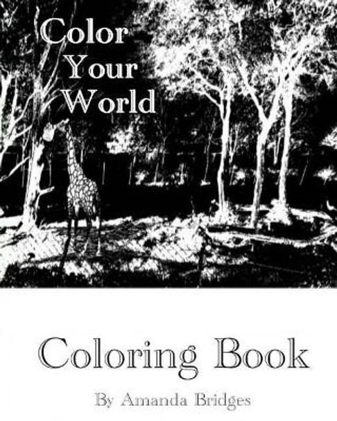 Color Your World - Coloring Book by Amanda R Bridges 9781979595889