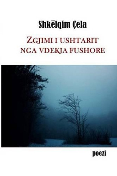 Zgjimi I Ushtarit Nga Vdekja Fushore by Shkelqim Cela 9781502919885