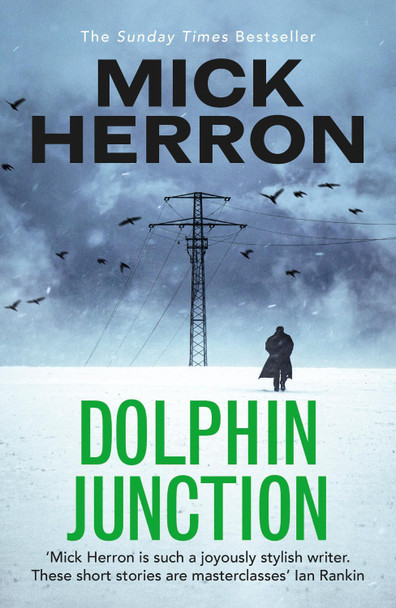 Dolphin Junction by Mick Herron