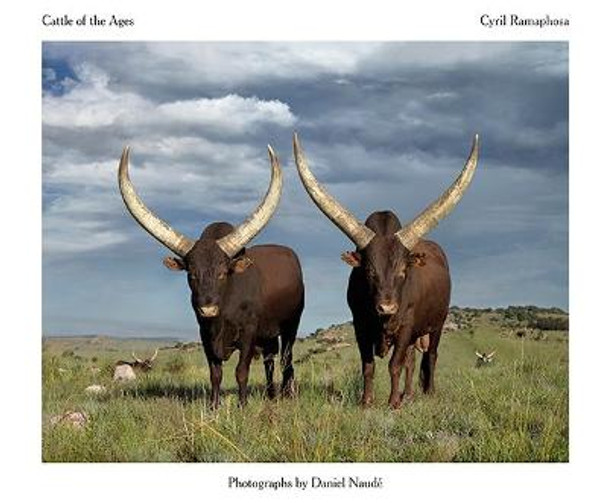 Cattle of the Ages: Ankole cattle in South Africa by Daniel Naude