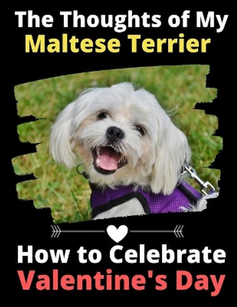 The Thoughts of My Maltese Terrier: How to Celebrate Valentine's Day by Brightview Activity Books 9781654817183
