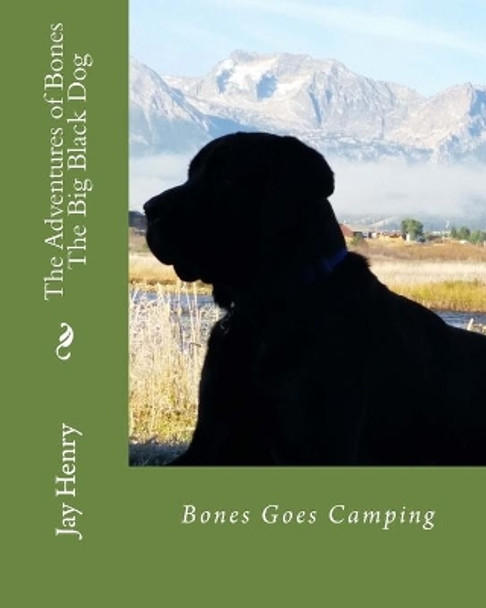 The Adventures of Bones-The Big Black Dog: Bones Goes Camping by Motoko Chiba 9781518668005