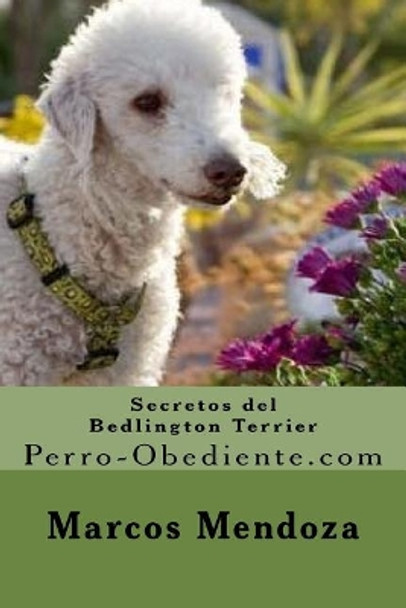 Secretos del Bedlington Terrier: Perro-Obediente.com by Marcos Mendoza 9781519490193