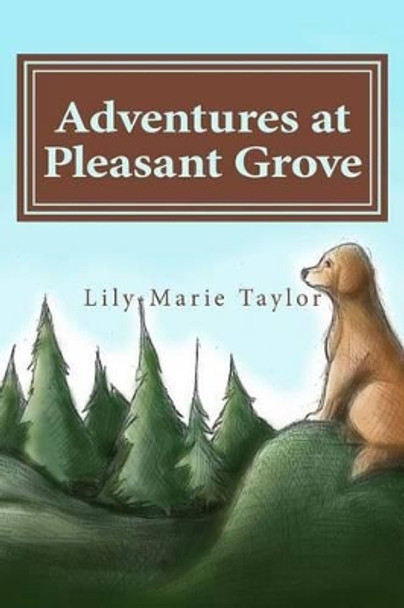 Adventures at Pleasant Grove by Lily-Marie Taylor 9781517144579