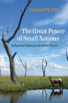 The Great Power of Small Nations: Indigenous Diplomacy in the Gulf South by Elizabeth N. Ellis 9781512823097