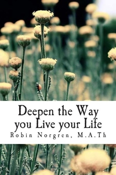 Deepen the Way you Live your Life by Robin Norgren M a Th 9781515362968