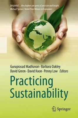 Practicing Sustainability by Guru Madhavan 9781489988980