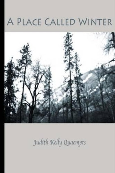 A Place Called Winter by Judith Kelly Quaempts 9781497558007