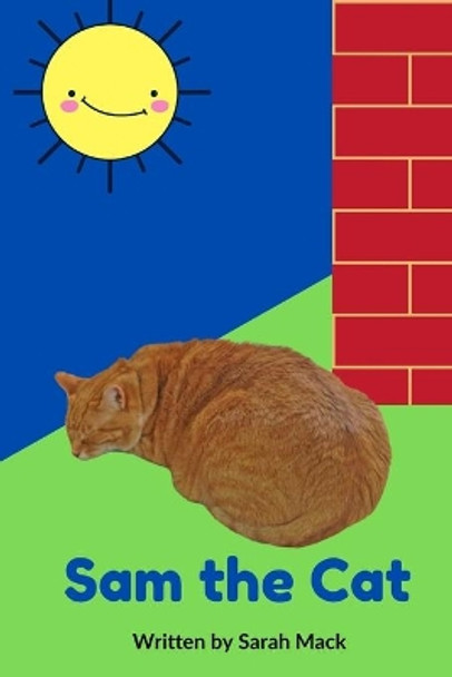 Sam the Cat by Debby Hayes 9781735413037