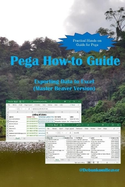 Pega How-to Guide: Exporting Data to Excel (Master Beaver Version) by Jimmy J C 9789811703126