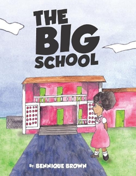 The Big School by Dana Burrows 9781791691264