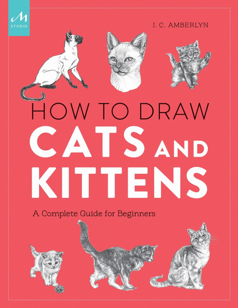 How To Draw Cats And Kittens: A Complete Guide for Beginners by J. C. Amberlyn