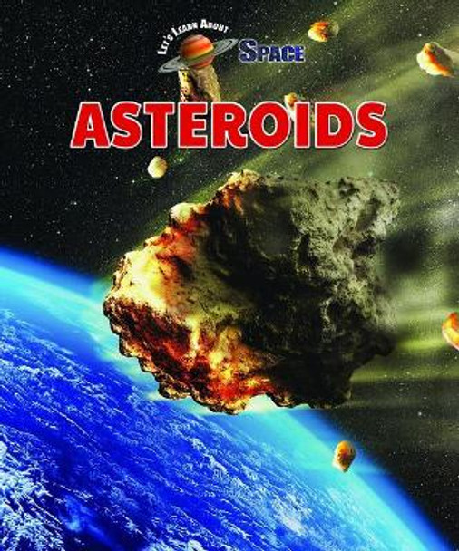 Asteroids by Rebecca Kraft Rector 9781978507265