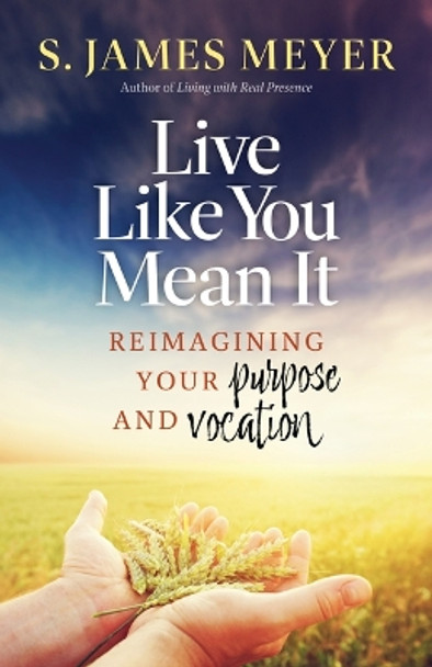 Live Like You Mean It: Reimagining Purpose and Vocation by S James Meyers 9781627857994