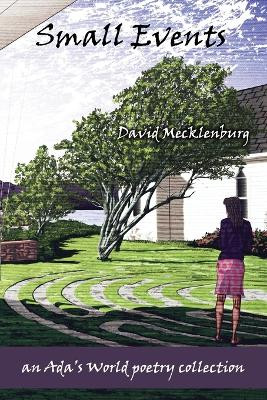 Small Events by David Mecklenburg 9781590929469