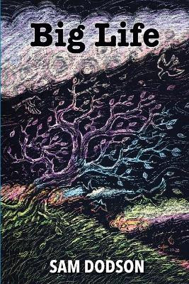 Big Life by Sam Dodson 9781940605289