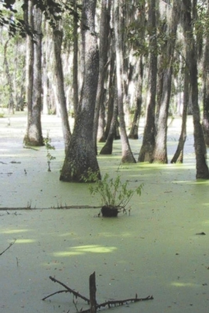 Magic in the Swampwaters of Louisiana by Darrel Day 9798854071796