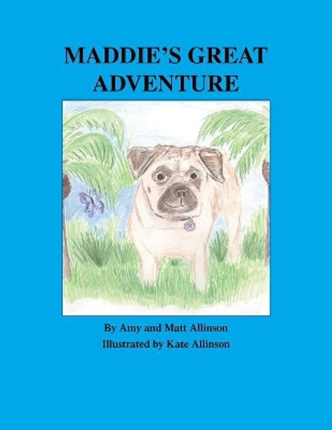 Maddie's Great Adventure by Amy Allinson 9781412068055